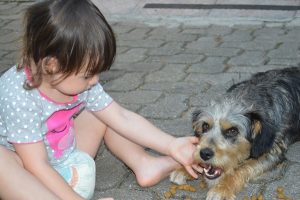 importância dos animais para as crianças