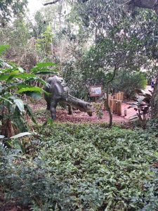 Parque dos Dinossauros Foz do Iguaçu